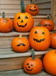 heloween matrica szett 2.